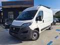 Fiat Ducato 33 2.3 MJT 140CV PLM-TM Furgone Bianco - thumbnail 1