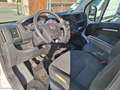 Fiat Ducato 33 2.3 MJT 140CV PLM-TM Furgone Bianco - thumbnail 10