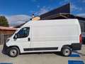 Fiat Ducato 33 2.3 MJT 140CV PLM-TM Furgone Bianco - thumbnail 8