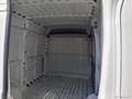 Fiat Ducato 33 2.3 MJT 140CV PLM-TM Furgone Weiß - thumbnail 13