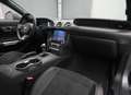 Ford Mustang 5.0 Ti-VCT V8 331kW  GT (Conv.) Gris - thumbnail 9