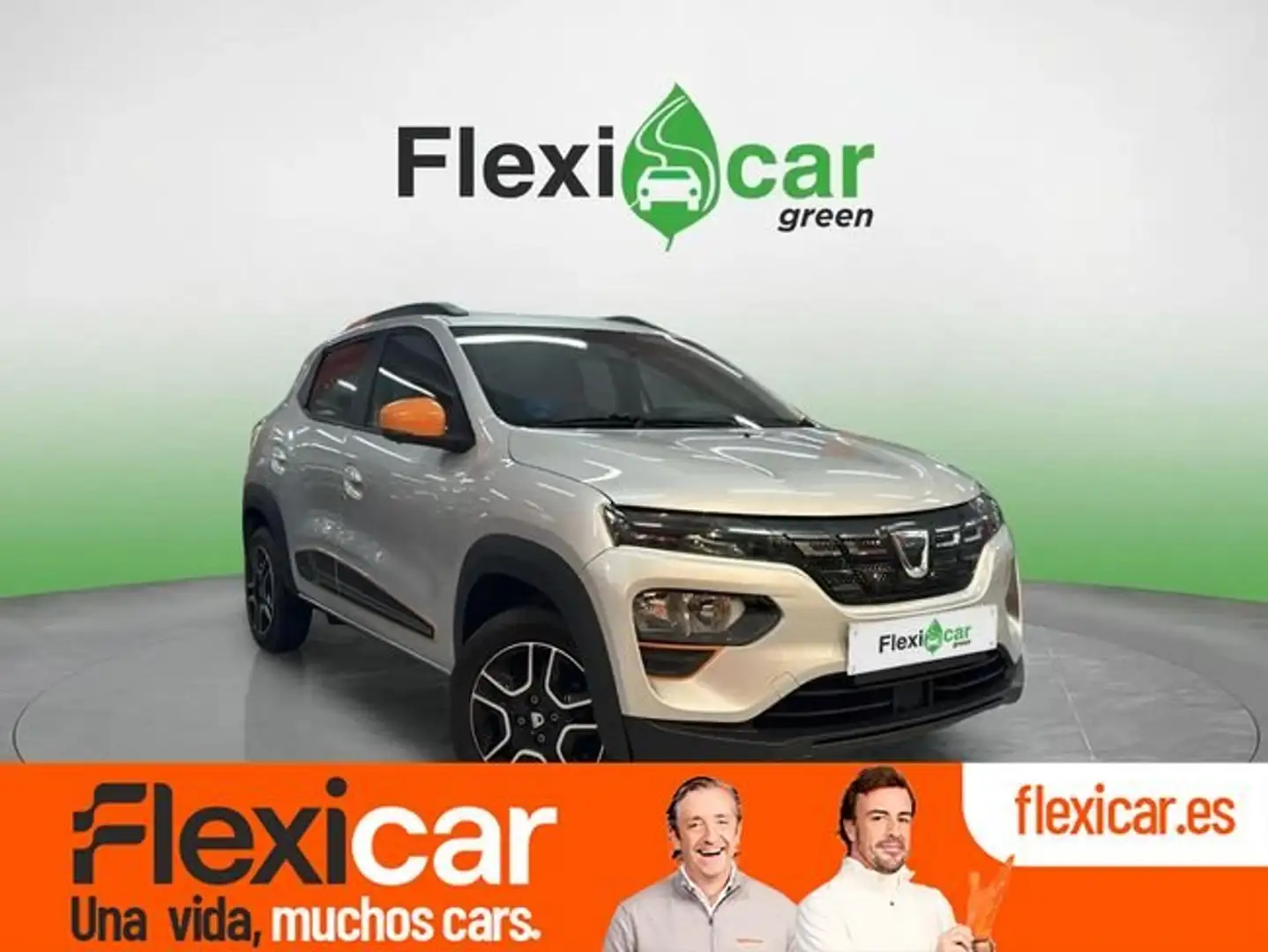 Dacia Spring Business+Electric+33kW+%2845CV%29 Gris - 1