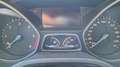 Ford Focus 5p 1.6 tdci Titanium 115cv - thumbnail 6