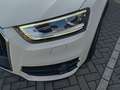 Audi Q3 Q3 2.0 TDI Business Plus Bianco - thumbnail 4