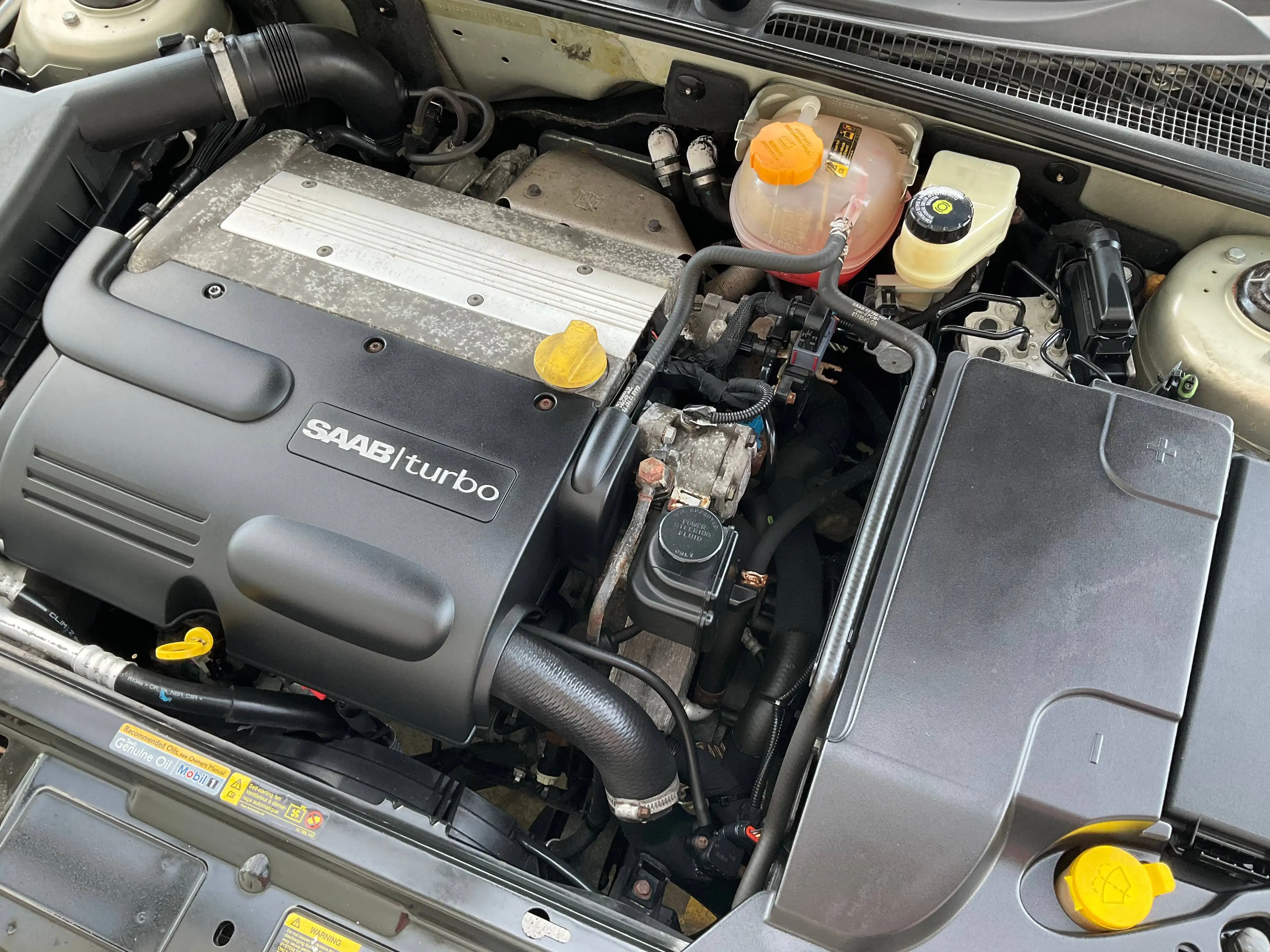 Saab 9-3 9-3 Cabriolet 1.8 t Cabrio 1.Hand Unfallfrei TüV Neu — photo 37