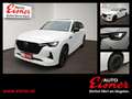 Mazda CX-80 AWD HOMURA TOP Ausstattung Sitzlüftung Weiß - thumbnail 1