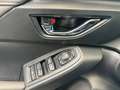 Subaru Crosstrek Platinum Blau - thumbnail 12