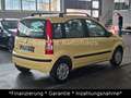Fiat Panda 1.1 8V Active|Klima|ZV|Radio-CD|TÜV NEU - thumbnail 4