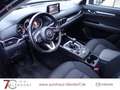 Mazda CX-5 Exclusive 165 Navi|360° Kamera|AHK Blau - thumbnail 8