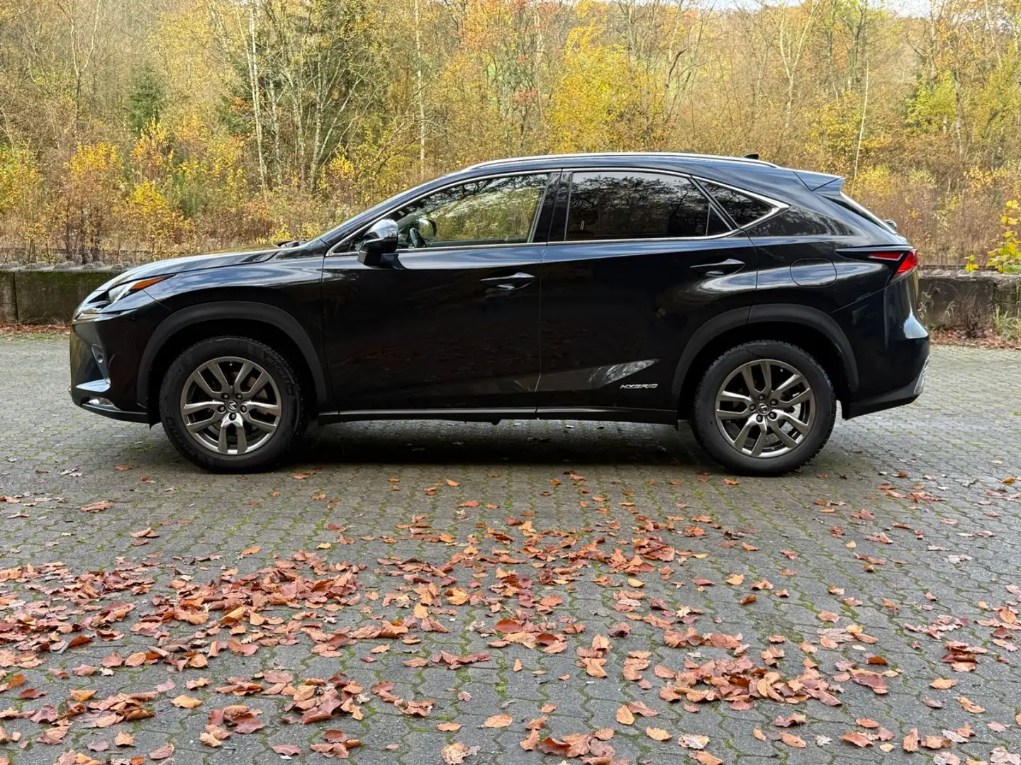 Lexus NX 300 300h ACC/KAMERA/GARANTIE/LEDER/KLIMA 2ZON Noir - 2