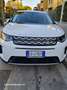Land Rover Discovery Sport Phev 309 Bianco - thumbnail 9