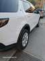 Land Rover Discovery Sport Phev 309 Bianco - thumbnail 11