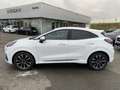 Ford Puma 1.0 EcoBoost ST-Line Vignale *AHK*Kamera* Bianco - thumbnail 5