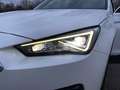 SEAT Tarraco Tarraco 2.0 TDI Style Alb - thumbnail 38