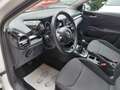 Skoda Fabia IV NEUES MODEL 1,0 Ambition * LED, PDC, Spurh.,* Weiß - thumbnail 10