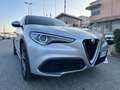 Alfa Romeo Stelvio Stelvio 2.2 t Rosso Edizione rwd 160cv auto Argento - thumbnail 3