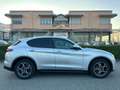 Alfa Romeo Stelvio Stelvio 2.2 t Rosso Edizione rwd 160cv auto Argento - thumbnail 1