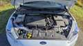 Ford Focus 1,5 EcoBoost Titanium Weiß - thumbnail 14