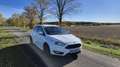 Ford Focus 1,5 EcoBoost Titanium Weiß - thumbnail 6