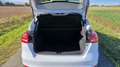 Ford Focus 1,5 EcoBoost Titanium Weiß - thumbnail 12
