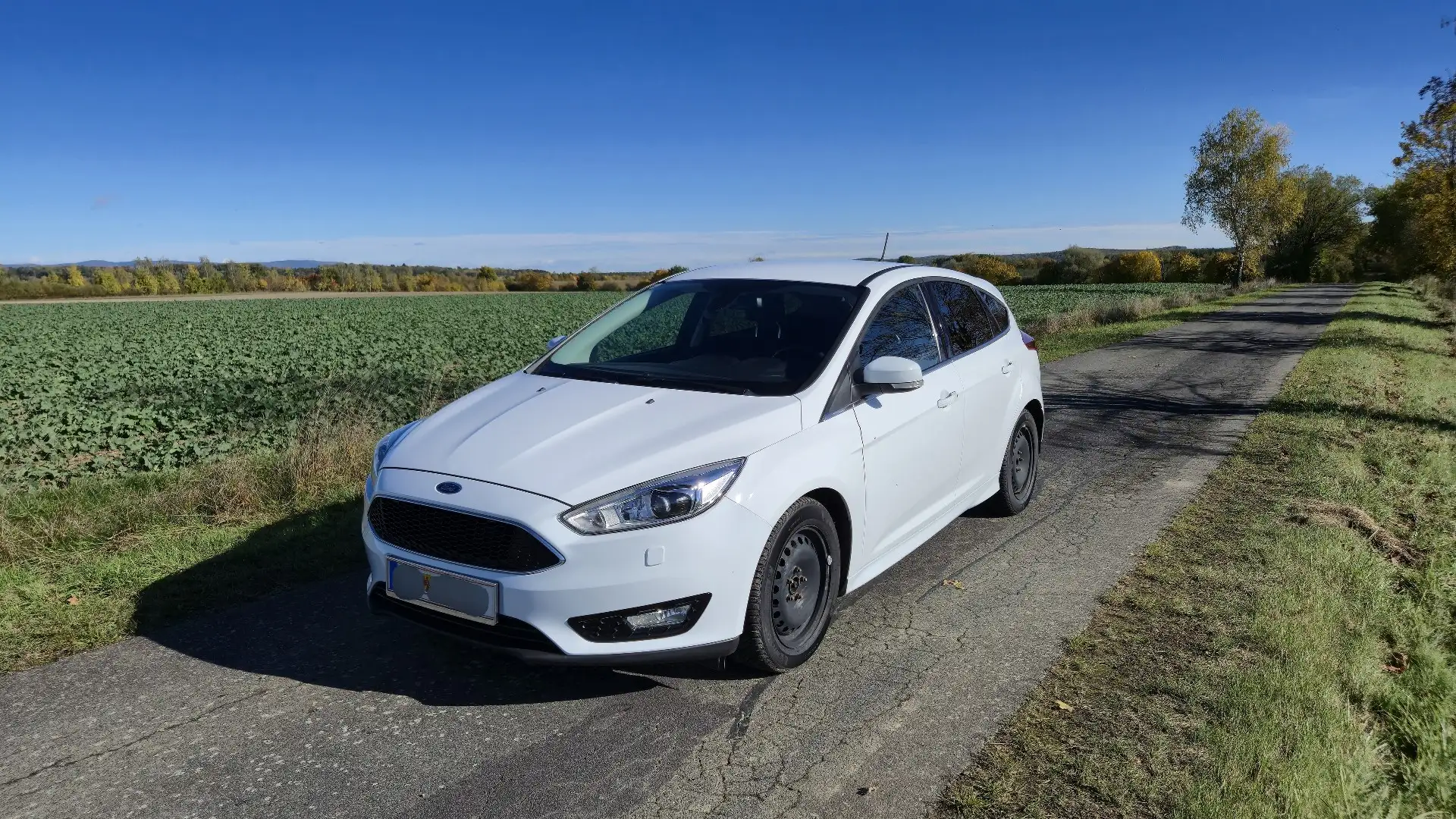 Ford Focus 1,5 EcoBoost Titanium Weiß - 1