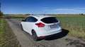 Ford Focus 1,5 EcoBoost Titanium Weiß - thumbnail 3