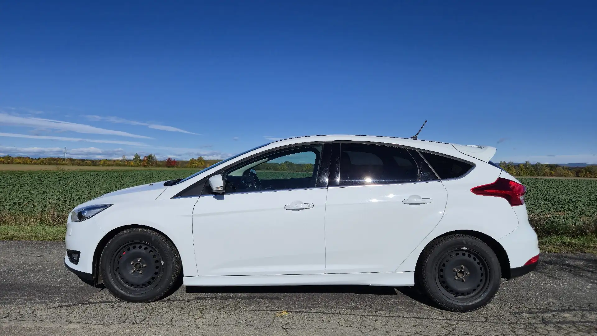 Ford Focus 1,5 EcoBoost Titanium Weiß - 2