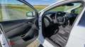 Ford Focus 1,5 EcoBoost Titanium Weiß - thumbnail 8
