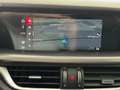 Alfa Romeo Stelvio Stelvio 2020 2.2 t sport rwd 160cv PREZZO REALE Grigio - thumbnail 14
