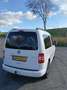 Volkswagen Caddy 1.2 TSI Highline edition 30 Wit - thumbnail 5