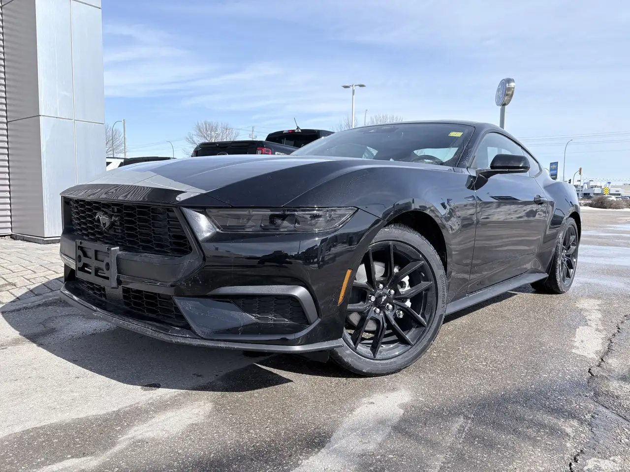 Ford Mustang снимка Ford Mustang