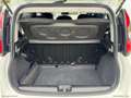 Fiat Panda Cross 1.0 FireFly S&S Hybrid Bianco - thumbnail 10