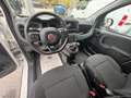 Fiat Panda Cross 1.0 FireFly S&S Hybrid Bianco - thumbnail 11