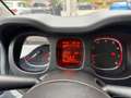 Fiat Panda Cross 1.0 FireFly S&S Hybrid Bianco - thumbnail 15