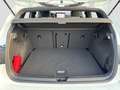 Volkswagen Golf VIII 1.5eTSI DSG Edition50 Matrix Navi Pano Weiß - thumbnail 12