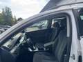 Volkswagen Passat Variant Comfort EcoFuel 1.4 CNG,Shz,Klima Weiß - thumbnail 9