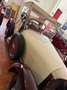 Oldtimer Sonstige Praga Piccolo Sport P5 Weiß - thumbnail 12