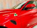 Alfa Romeo Giulia 2.9 T Quadrifoglio Aut. 510 Rot - thumbnail 5