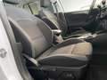 Ford Focus 1.5 EcoBlue 120 CV automatico SW Active Style Bianco - thumbnail 11