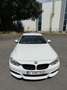 BMW 428 428i Coupe Aut. M Sport - thumbnail 7