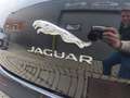 Jaguar XJ 3.0 D V6 Premium Luxury Schwarz - thumbnail 33