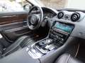 Jaguar XJ 3.0 D V6 Premium Luxury Чорний - thumbnail 5