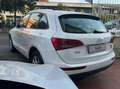 Audi Q5 2.0 tdi quattro 170cv s-tronic Blanco - thumbnail 5