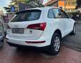 Audi Q5 2.0 tdi quattro 170cv s-tronic Blanco - thumbnail 7