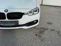 BMW 316 316 d Advantage*LED*PDC*SHZ*uvm Weiß - thumbnail 4