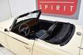 Triumph TRIUMPH  TR250 Beige - thumbnail 24