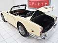Triumph TRIUMPH  TR250 Beige - thumbnail 17
