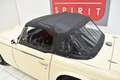 Triumph TRIUMPH  TR250 Beige - thumbnail 28