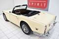 Triumph TRIUMPH  TR250 Beige - thumbnail 16