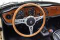 Triumph TRIUMPH  TR250 Beige - thumbnail 38